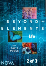Beyond the Elements: Life