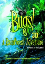 Bugs a Rainforest Adventure