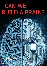 Can We Build a Brain