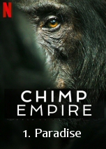 Chimp Empire: Paradise