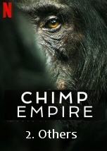 Chimp Empire: Others
