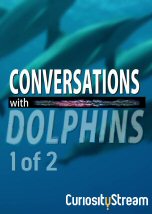 Conversations with Dolphins I