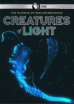 Creatures Of Light