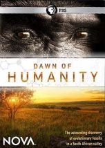 Dawn Of Humanity