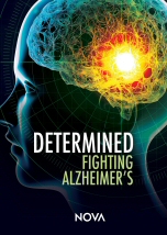 Determined Fighting Alzheimer