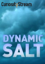 Dynamic Salt