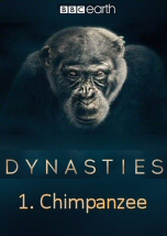 Dynasties: Chimpanzee