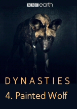 Dynasties: Painted wolf