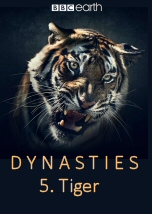 Dynasties: Tiger