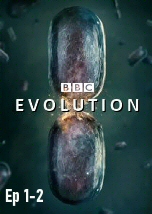 Evolution Ep 1-2