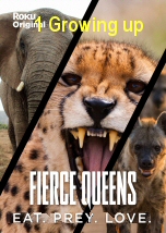 Reese Witherspoon hosts this nature series that explores the fabulous females of the animal kingdom. From ants to cheetahs, these ladies call the shots in their world and sit at the top of the social hierarchy earning them the title 'Fierce Queens'. In the first episode, Reese takes us on a journey with two teenage cheetah sisters, coming of age in the wild and learning how to work together to survive.