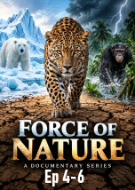 Force of Nature