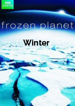 Frozen Planet: Winter