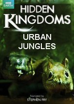Urban Jungles