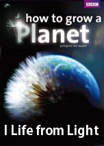How to Grow a Planet Life from Light