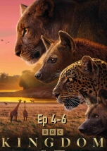 Kingdom Ep 4-6