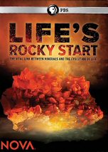 Life Rocky Start