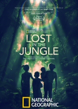 Lost in the Jungle