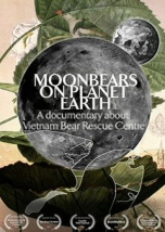 Moon Bears on Planet Earth