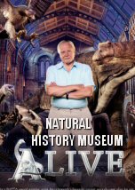 Natural History Museum Alive
