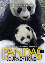 Pandas: The Journey Home