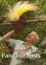 Attenboroughs Paradise Birds