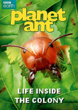 Planet Ant Life inside the Colony