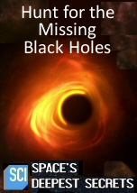 Hunt for the Missing Black Holes