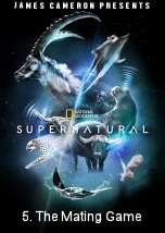 Super/Natural: The Mating Game