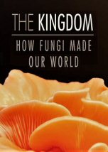 The Kingdom How Fungi Made Our World