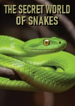 The Secret World Of Snakes