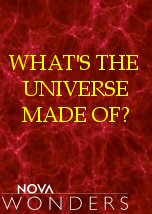 What is the Universe Made of