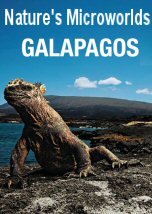 Nature Microworlds: Galapagos