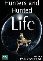 Life: Hunters and Hunted
