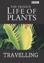 The Private Life of Plants: Travelling