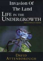 Life in the Undergrowth: Invasion Of The Land
